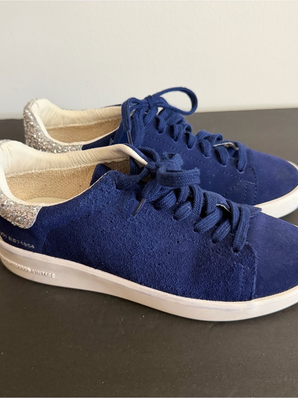 Vintage Navy Suede Low-Top Sneakers with Silver Glitter Heel